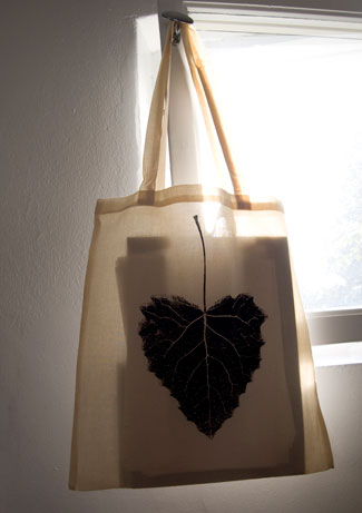 Tote bag in window.